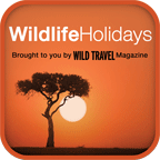 Wildlife Holidays