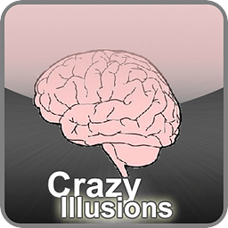 Crazy Illusions