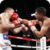 Boxing jigsaw FREE GAME