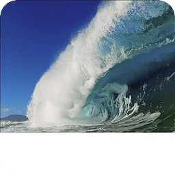 Oceanic Wave Information