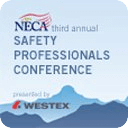 NECA Safety 2013
