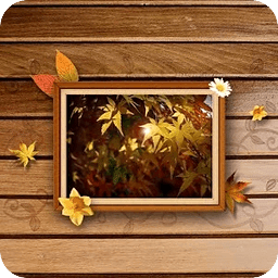 Free Frame Picture Theme