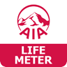 LIFE METER