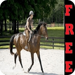 FREE Be a Good Horse Rid...