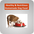 Dog Food Healthy &amp; Nutri...