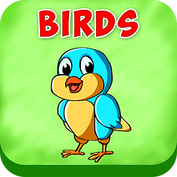 Birds for Kids