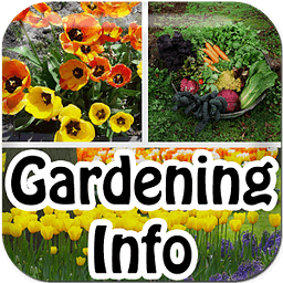 Gardening Info