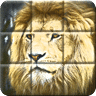 Animal Jigsaw Puzzle Game