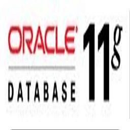 ORACLE 11G