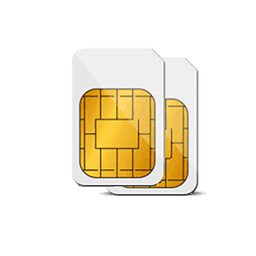 DualSim Data Manager