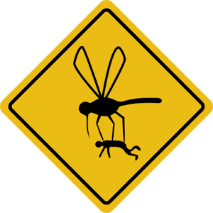 反驅蚊