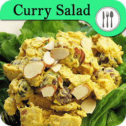 Curry Salad Recipes