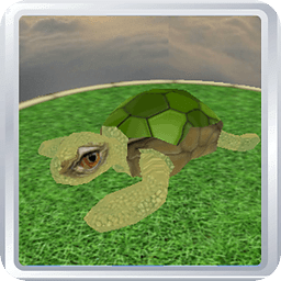 Turtle Pet 3D