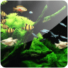 Aquarium 3D