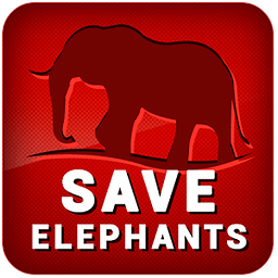 DN - Save Elephants
