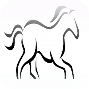 Equine Breeding Calculator