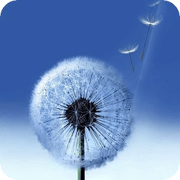 Galaxy Dandelion