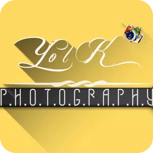 Yolk Photography 蛋黄摄影集
