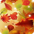 秋天的叶子蝴蝶壁纸