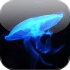 Neon Blue Jellyfish HD LWP 