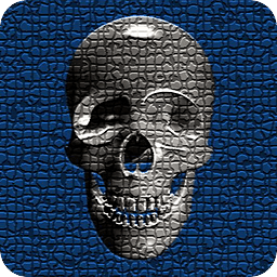 Skull Clock Widget 2x2