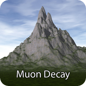 Muon Decay