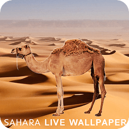 Sahara LiveWallpaper