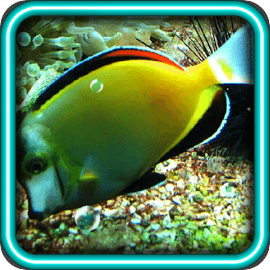 Predators Deep water Fish LWP