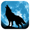夜孤狼-自由桌面主题