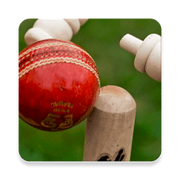 Ireland Cricket Alerts