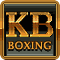 力量拳击 Klitschko Boxing