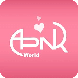 Apink World