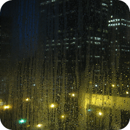 White Noise - Rainy Day