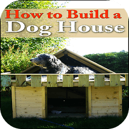 How To Build A Dog House