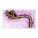 Ebola Test