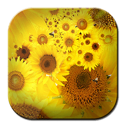 SunFlower Free Wallpaper