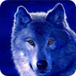 Wolf HD Wallpaper Live