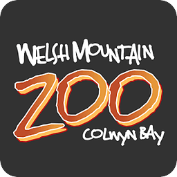 Welsh Mountain Zoo Guide