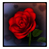 3D Rose Bouquet Live Wallpaper Free