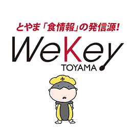 WekeyToyama yellow