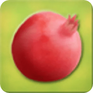 Pomegranate Kannada Version