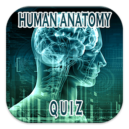 Human Anatomy Quiz