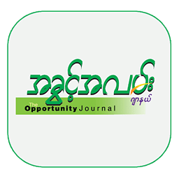 The Opportunity Journal