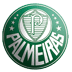 Palmeiras Copa do Brasil 2012