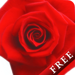 Rose Free