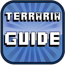 Beginner's Guide for Ter...