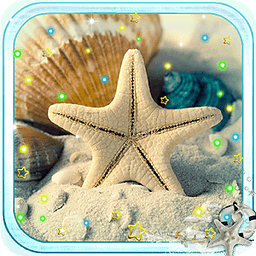 Shells Sea Sand LWP