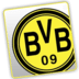 Unoffical BVB Widget