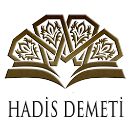 Hadis Demeti