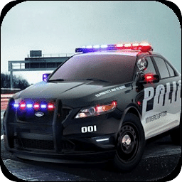 Police Racing